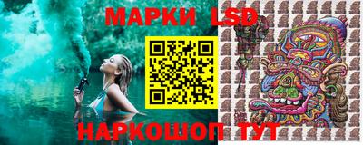 гидропоника Пенза