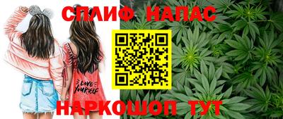 гидропоника Пенза