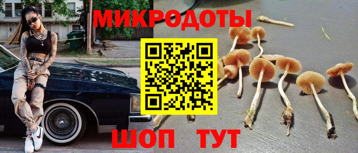 Назрань  Псилоцибиновые грибы Psilocybe  Вход с VPN 